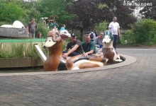 Kinder-Laju-2015-002