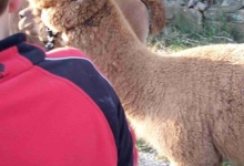 Kinder-Laju-2015-044