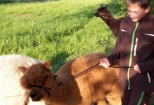 Kinder-Laju-2015-052